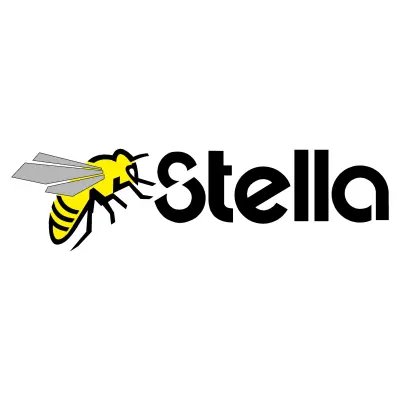logo stella progettato da losigrafica
