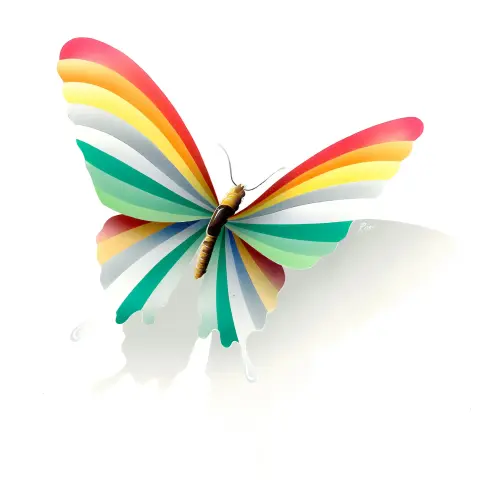 losigrafica storia progetto