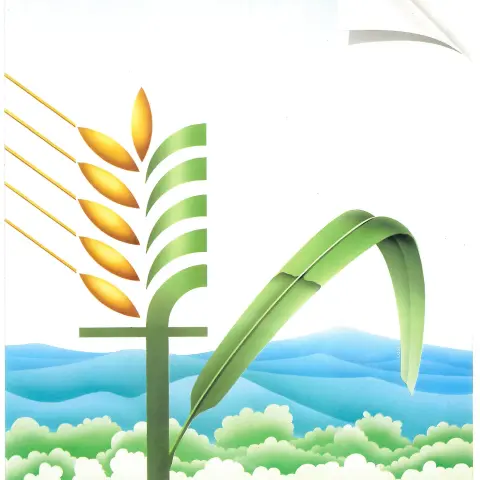losigrafica storia progetto